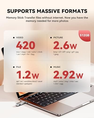 MFi Certified 256GB iPhone Photo Stick, High-Speed USB Flash Drive Memory Storage for Video Backup, Compatible for iPhone/iPad/Android/PC (Pearl Silver) view 2