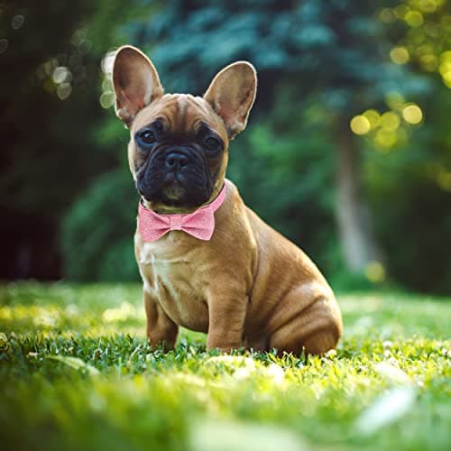 Jumpress Bling Dog Bow Tie Collar for Puppy Small Medium Dogs, Cute Pink Girl Dog Collar with Bow for Daily Walking or Holiday Party (Neck fit 11-16’’) view 4