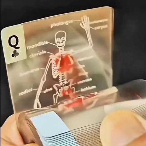 AKLOZYX The Body Deck Transparent Anatomy Playing Cards, 3D Skeleton Design, Educational Card Game, 54 Cards (1 Pack) view 3