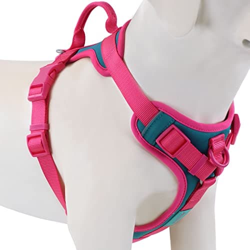 Wolfone No Pull Dog Harness Adjustable Soft Padded Pet Vest with Control Handle Adorable Daily Harness for Dogs（Viridian Green M） — image 1