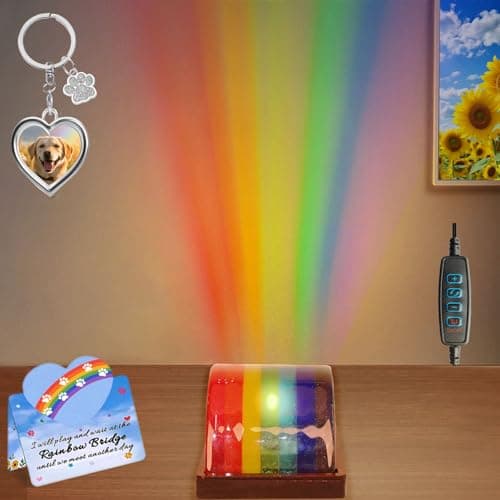Newmetab Rainbow Bridge Pet Memorial Gifts for Dogs Cats, Loss of Dog Sympathy Gift with Paw Prints Picture Frame KeyChain & Sympathy Card for Pets Lovers(Keychain with Silver Paw) — image 1