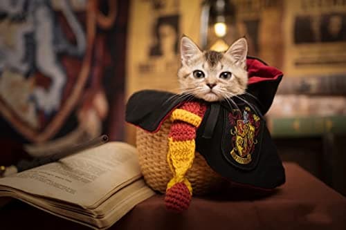 Dog Cat Costumes with Glasses and Neckties,Cosplay Costume Set Perfect for Party and Gifts for Cat Dog (Gryffindor, Medium) view 4