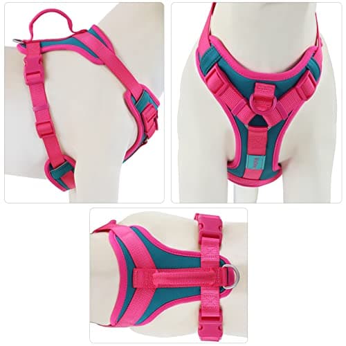 Wolfone No Pull Dog Harness Adjustable Soft Padded Pet Vest with Control Handle Adorable Daily Harness for Dogs（Viridian Green M） view 2