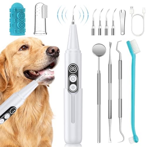 PATWING Dog Plaque Remover for Teeth, Pet Ultrasonic Cleaner with LED Light & Stand, 5 Modes, Pet Teeth Cleaning kit, Suitable for Dogs and Cats — image 1