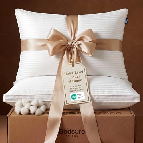 Bedsure Queen Size Bed Pillows Set of 2 - Hotel Quality Gusseted Down Alternative Pillow, 100% Cotton Cover PureWoven 300TC, Dual Chamber Fluffy Support Suitable for All Sleeping Positions view 1