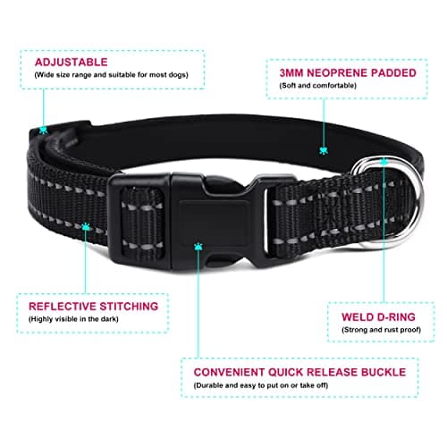 Jumpress Soft Neoprene Padded Dog Collar and Leash Set for Small Medium Large Dogs, Reflective Durable Nylon Dog Collar with 5ft Leash Easy for Walking, Black,Neck fit 12.5-19.5’’ view 3