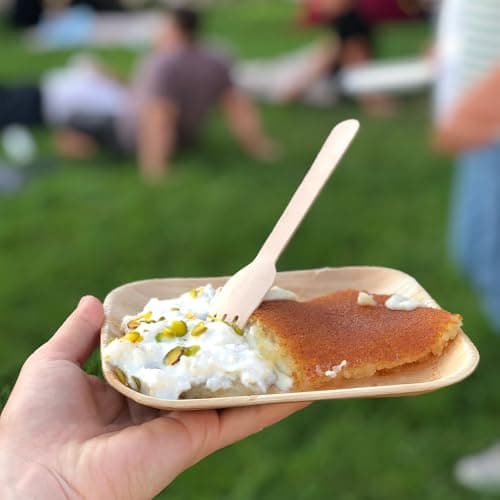 ECODESIGN-US Palm Leaf Plates 100 Count - 6" Square Disposable Heavy Duty Dinnerware - Appetizer and Dessert Plates for Weddings, Catering, Parties view 4