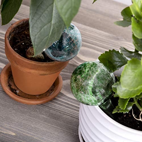 Besti Large Self Watering Globes for Plants (6-Pack) Waters Greenery Up to 2 Weeks Hands Free | Durable, Multicolored Glass Craftsmanship | Indoor and Outdoor Use - Measures 12” x 3.5” view 5