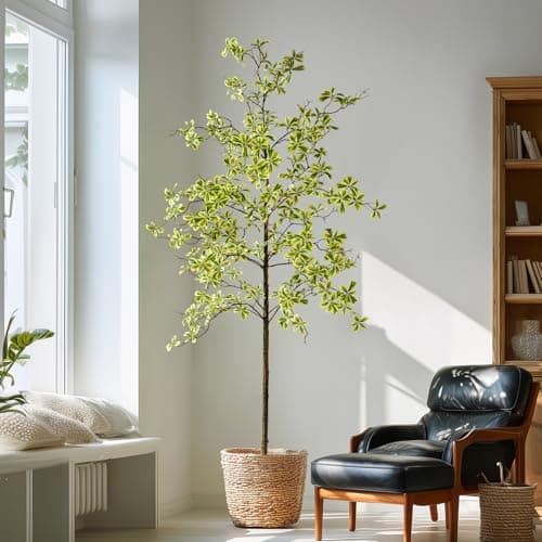 Bailikang 7FT Artificial Black Olive Tree Artificial Olive Plants, Tall Faux Olive Tree Faux Silk Plant Fake Plant Ultra-Realistic Silk Leaves & Natural Trunk Indoor Outdoor Use — image 1