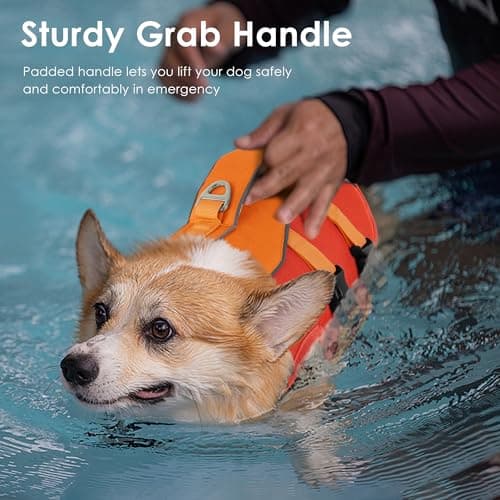 Petglad Dog Life Jacket, High Buoyancy Dog Life Vest with Handle for Swimming Boating, Adjustable Swimming Vest with Reflective Trim for Small Medium Large Dogs - Orange, M view 4