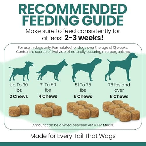 Dog Multivitamin Chewable - Chew + Heal 12-in-1, 60 Ct, All Breeds Dog Vitamins & Supplements for Hip & Joint, Skin, Coat, Immune Support with Glucosamine, Omega 3,6,9, Probiotics, Chicken Flavor view 6