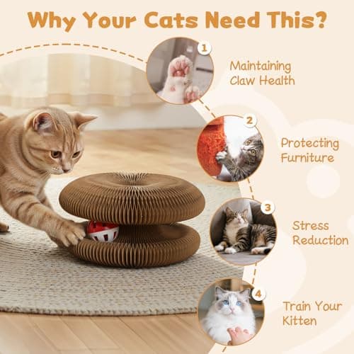PETSWEET Magic Organ Cat Scratcher Cardboard, Interactive Scratch Cat Toy with Bell Ball, Foldable Scratching Board, Corrugated Cardboard Scratch Pad for Indoor Cats, Round(1PCS) view 5