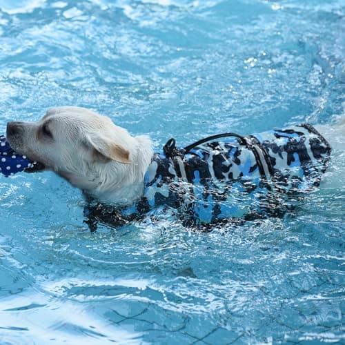 Doglay Dog Life Jacket, Dog Life Vest for Swimming Boating, Adjustable Puppy Life Jacket with Reflective Stripes, Superior Buoyancy Dog Swimming Vest for Small Medium and Large Dogs view 5