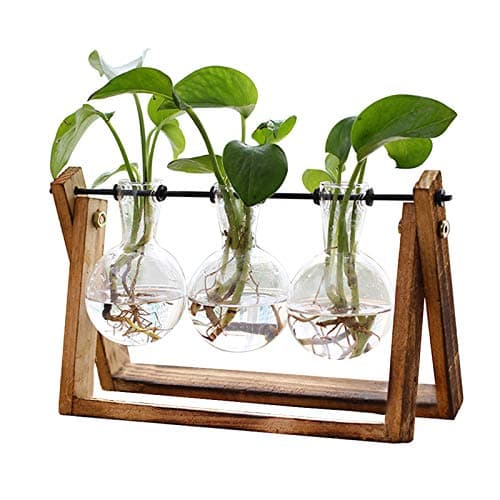 XXXFLOWER Plant Terrarium with Wooden Stand, Air Planter Bulb Glass Vase Metal Swivel Holder Retro Tabletop for Hydroponics Home Garden Office Decoration - 3 Bulb Vase — image 1