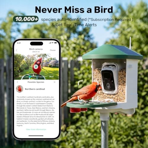 HARYMOR Smart Bird Feeder with Camera Solar Powered, 2K HD Live Video, 10,000+ Bird Species AI Identification, Wild Bird House Feeders for Outdoors, Instant Arrival Alerts, Ideal Gift for Bird Lovers view 4