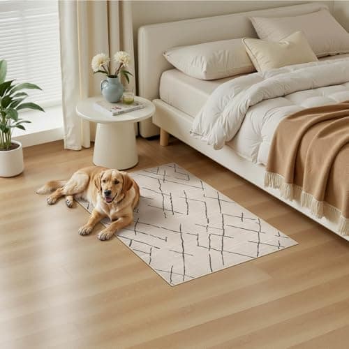 kakania 2x3 Washable Entryway Rug: Non Slip Soft Thin Small Rug, Boho Geometric Modern Decor, Easy Clean Indoor Floor Door Mat for Kitchen Bedroom Kids Dorm - Beige view 6