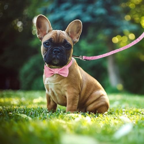 Jumpress Bling Bow Tie Dog Collar and Leash Set, Cute Pink Girl Dog Collar with 5ft Leash for Small Medium Dogs Daily Walking or Holiday Party (Neck fit 11-16’’) view 4