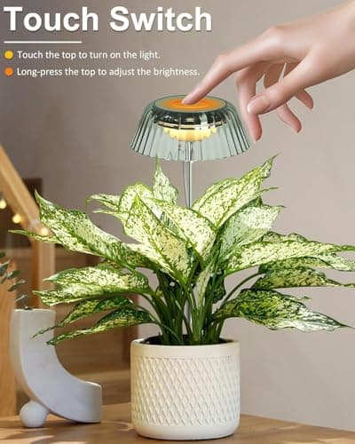 yadoker Small Table Plant Grow Light, LED Growing Touch Lamp with Full Spectrum for Indoor Plants, Height Adjustable, Automatic Timer, 5V Low Safe Voltage, Ideal for Compact Spaces（2 Pack） view 2