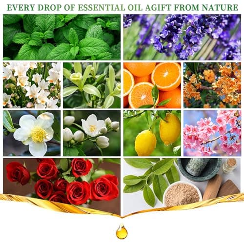 Gihen Essential Oils Set, 12 Scents, 10 ML Bottles, Lavender, Lemon, Rose, Jasmine, Vanilla, Sandalwood and More, for Humidifiers, Diffusers, Aromatherapy view 4