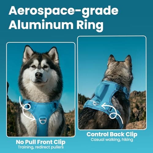 Heavy Duty Outdoor No Pull Dog Harness with Handle, Escape Proof Waterproof Vest, Adjustable Reflective Pet Harness with Front Clip, Detachable Pouch & QR ID Tag for Hiking & Trail Running (XL) view 3