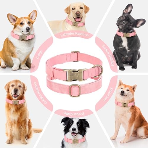 Jumpress Soft Leather Dog Collar for Small Medium Large Dogs, Heavy Duty Dog Collar Leather with Quick Release Metal Buckle, Durable & Adjustable for Large Dogs Walking (Pink, L) view 3