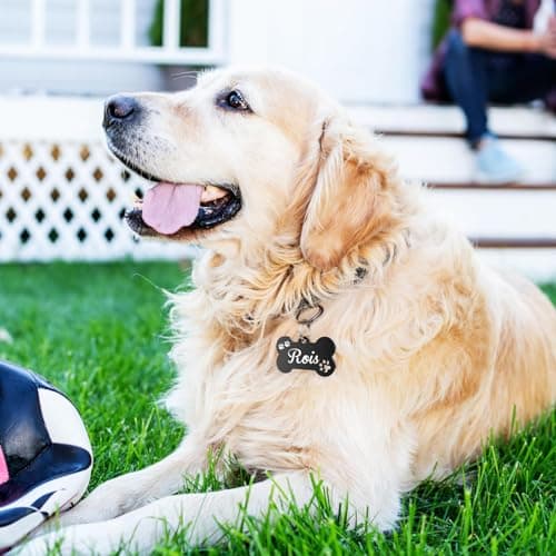 Dog Tags Personalized for Pets - YEHANTI Personalized Dog Tags with Lovely Icons, Durable Stainless Steel Pet ID Tags for Small Large Dogs Cats, Custom Dog Name Tags Engraved on Both Sides (Bone) view 6