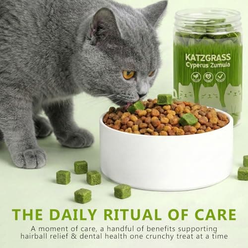 Prettypum Cat Grass Treats for Indoor Cats - Freeze Dried Cat Grass Crunchy Snacks for Hairball Control and Digestive Support - Natural Kitty Grass Supplement - 4.23 oz view 5