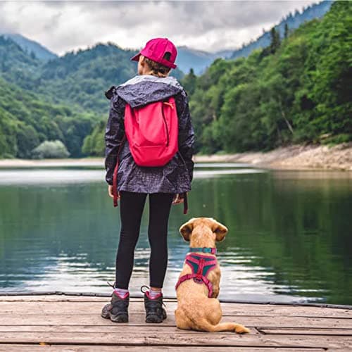 Wolfone No Pull Dog Harness Adjustable Soft Padded Pet Vest with Control Handle Adorable Daily Harness for Dogs（Viridian Green M） view 6