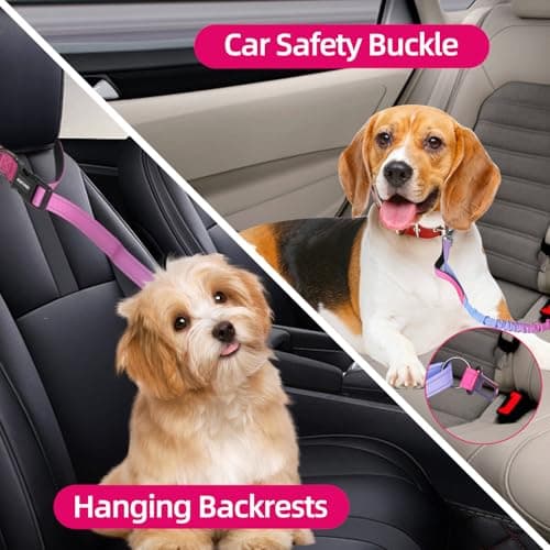 Hands-Free Zipper Pouch Dog Leash 4-6 Foot Elastic Waist Belt Leash Suitable for Medium to Large Dogs Double-Layer Cushioned Handle Car Seatbelt-Style Buckle Dual-Purpose for Training and Jogging view 4