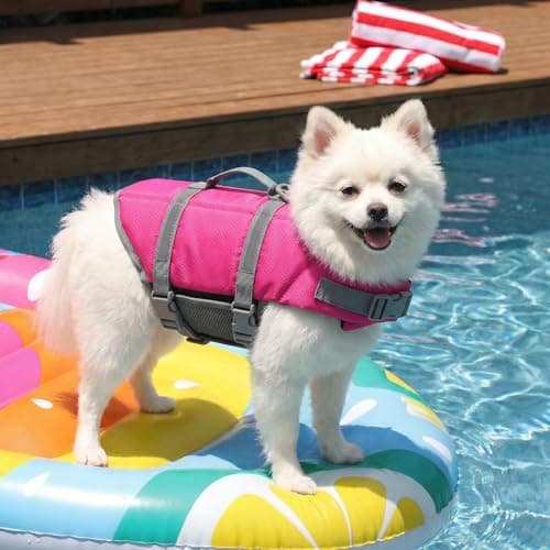 Doglay Dog Life Jacket, Dog Life Vest for Swimming Boating, Adjustable Puppy Life Jacket with Reflective Stripes, Superior Buoyancy Dog Swimming Vest for Small Medium and Large Dogs view 3