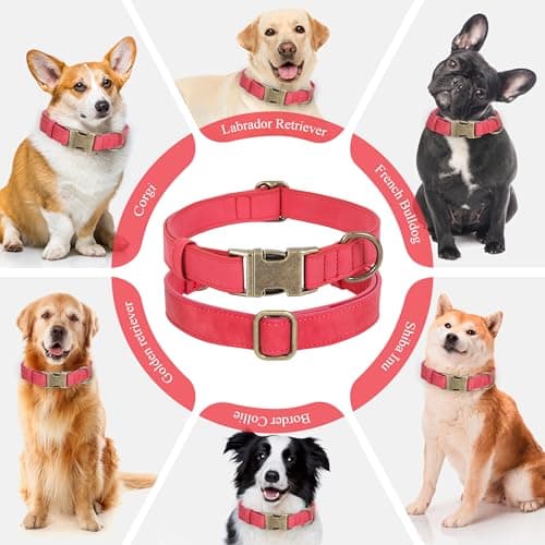 Jumpress Soft Leather Dog Collar for Small Medium Large Dogs, Heavy Duty Dog Collar Leather with Quick Release Metal Buckle, Durable & Adjustable for Small Dogs Walking (Red, S) view 3