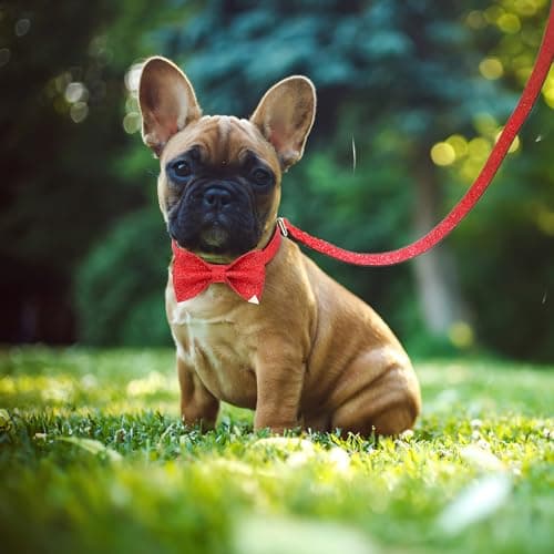 Jumpress Bling Bow Tie Collar and Leash Set, Red Christmas Dog Collar with Bow and 5ft Leash for Puppy Small Dogs (Neck fit 9-12'') view 4