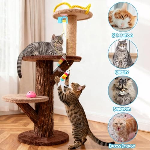 Mity rain Hanging Cat Toy for Indoor Cats Automatic– Interactive Cat Toy with Caterpillar, Gray Mouse and Feather Toys, Rechargeable Cat Toys for Self Play to Keep Them Active and Entertained view 5