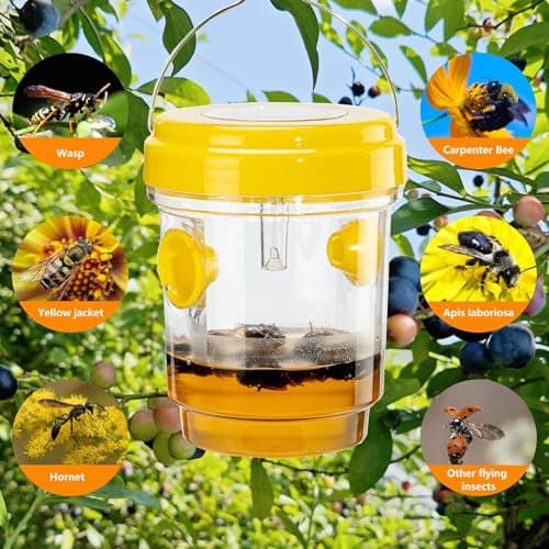 3pc Wasp Traps Outdoor Hanging view 5