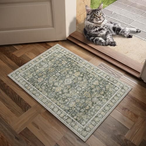 NoiFamo Machine Washable Entryway Small Area Rugs: Soft Non-Slip LowPile Door Mat Indoor Entrance 2x3 ThrowRug for High-Traffic Areas Kitchen, Hallway, Farmhouse Decor view 2