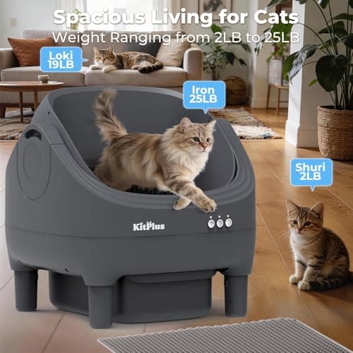 Self-Cleaning Cat Litter Box, Open-Top Automatic Litter Box with APP Control, Odor-Control & Low-Noise Design, Large Capacity, Safe for Multiple Cats view 6