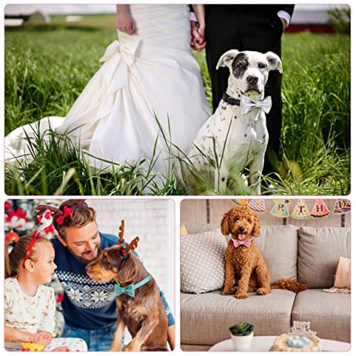 Jumpress Bling Bow Tie Dog Collar and Leash Set, Cute Pink Girl Dog Collar with 5ft Leash for Small Medium Dogs Daily Walking or Holiday Party (Neck fit 11-16’’) view 5