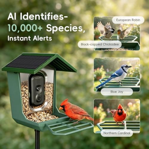 Bird Feeder with Camera Solar Powerd, 2.4Ghz/5Ghz Dual WiFi Bird Camera, 2.3K HD with AI Bird ID for 10,000+ Species, Birdhouse Cam for Outdoor Backyard Birdwatching Gift view 6