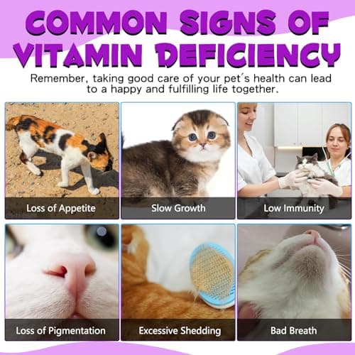 Liquid Multivitamin for Cat, 15 in 1 Cats Multivitamin Liquid Drops Supplements for Skin & Coat, Heart Health, Bones and Joint, Cat Vitamins with Glucosamine and MSM, Immune System Support -60ml view 5