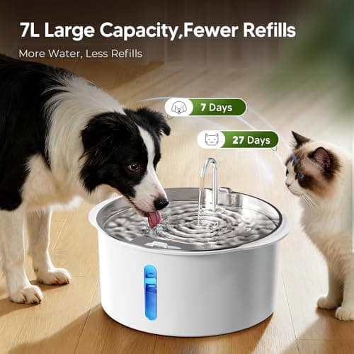 Pektaco Dog Water Fountain for Large Dogs, 1.8Gal/7L Pet Water Fountain, Dog Water Bowl Dispenser with Viewing Window & LED, Super Quiet, Stainless Steel Tray Easy Clean BPA-Free(with 3 Filters) view 2
