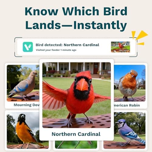 Smart Bird Feeder with Camera Solar Powered 2K UHD Video view 2