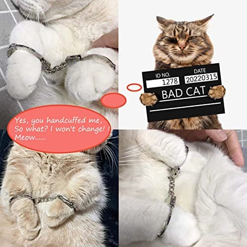 ZB.soar Funny Cat Handcuffs, Key Buckle,Stainless Steel Pet Toy Handcuffs, Mini Pet Handcuff Suitable for Most Small Pets,Increase The Relationship with Your Pets (Metal) view 3