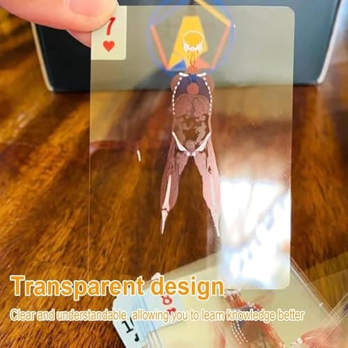 AKLOPE The Body Deck Transparent Anatomy Playing Cards, 3D Educational Card Deck, Waterproof Plastic Cards for Medical Students and Collectors (1 Pack) view 6