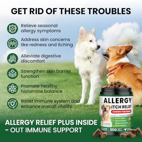 Dog Allergy Relief Chews, Supplement with Probiotics Vitamins, Itchy Skin Relief to Support Seasonal Allergy and Healthy Immune System, Skin and Coat Allergies,Itching & Paw Licking, 200 Soft Treats view 2