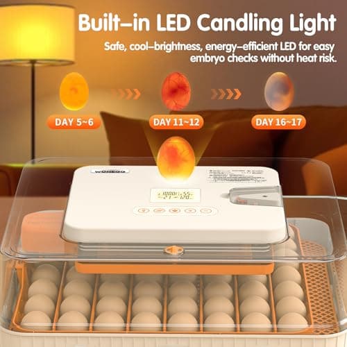 Incubator for Hatching Eggs, 56 Eggs Incubator with Automatic Egg Turning, Temperature & Humidity Control, LED Egg Candler, Incubation Days Display, for Chicken, Duck, Goose, Quail, Parrot Bird Eggs view 6