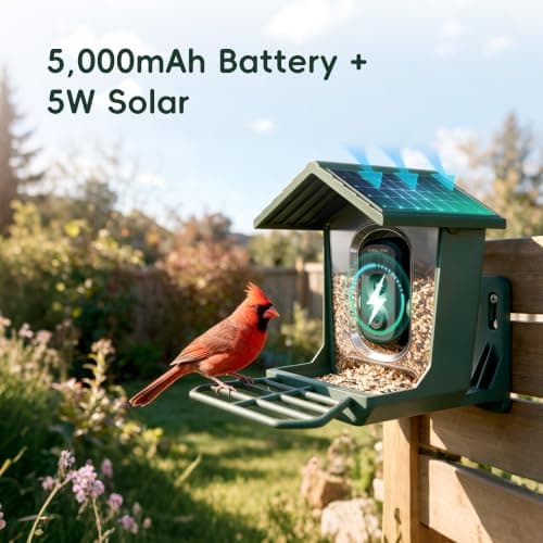 Bird Feeder with Camera Solar Powerd, 2.4Ghz/5Ghz Dual WiFi Bird Camera, 2.3K HD with AI Bird ID for 10,000+ Species, Birdhouse Cam for Outdoor Backyard Birdwatching Gift view 4
