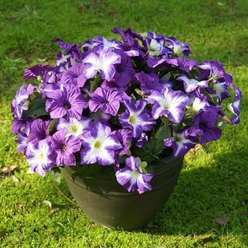 FULLMUSIC Spring Artificial Flowers for Outdoors, UV Resistant Fake Morning Glory, Look Real Faux Silk Plants for Front Door Garden Porch Planter view 3