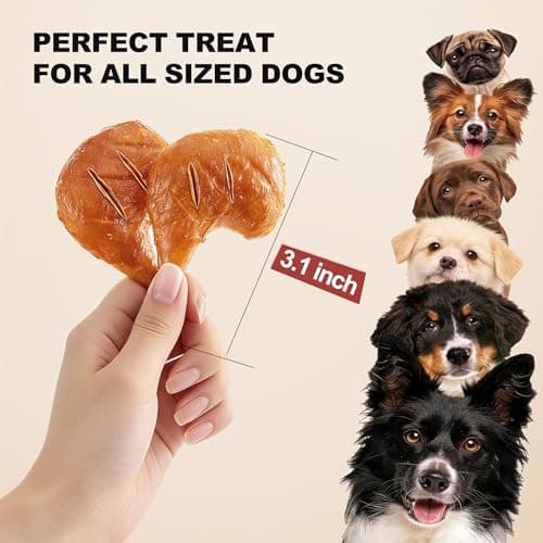 PETPHABET Rawhide Free Dog Chew Bones - 11 Count Grilled Chicken Leg Dog Chews for Small Medium Breeds, Healthy Puppy Treats for Training & Teething, Made with Real Chicken, Natural Smoky Flavor view 4