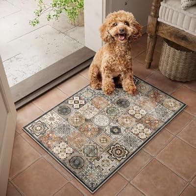 NoiFamo Machine Washable Entryway Small Area Rugs: Soft Non-Slip LowPile Door Mat Indoor Entrance 2x3 ThrowRug for High-Traffic Areas Kitchen, Hallway, Farmhouse Decor