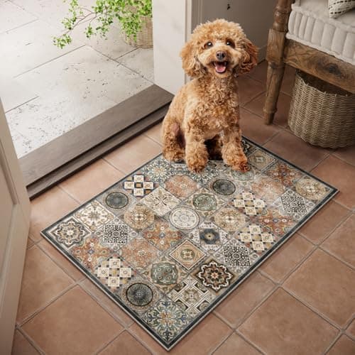 NoiFamo Machine Washable Entryway Small Area Rugs: Soft Non-Slip LowPile Door Mat Indoor Entrance 2x3 ThrowRug for High-Traffic Areas Kitchen, Hallway, Farmhouse Decor — image 1